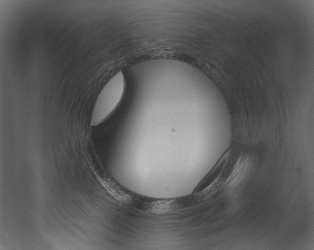 X0000053010090200507081033