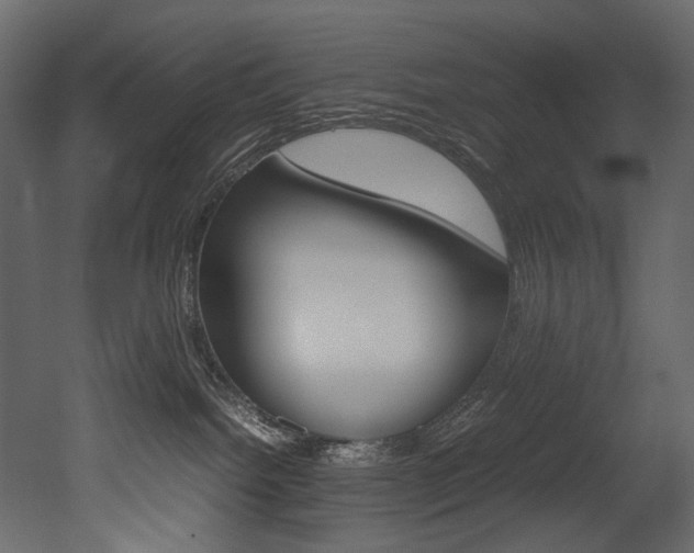 X0000053010092200507081033