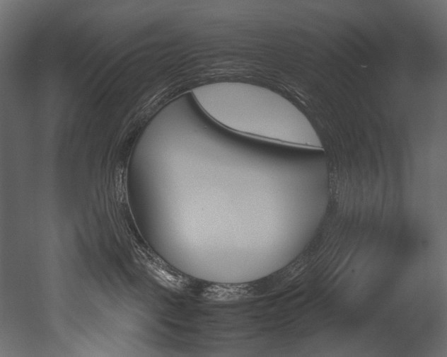 X0000053010093200507081033
