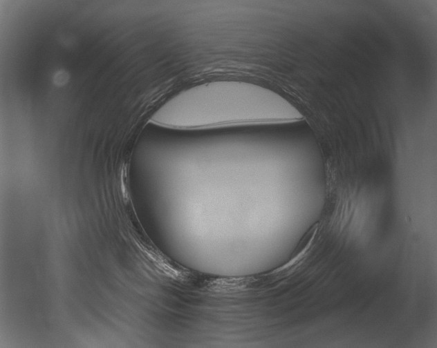 X0000053010094200507081033