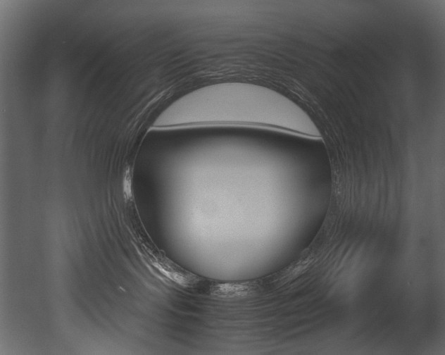 X0000053010095200507081033
