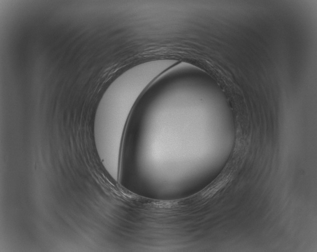 X0000053010096200507081033