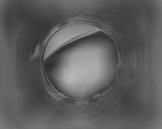 X0000053010099200507081032