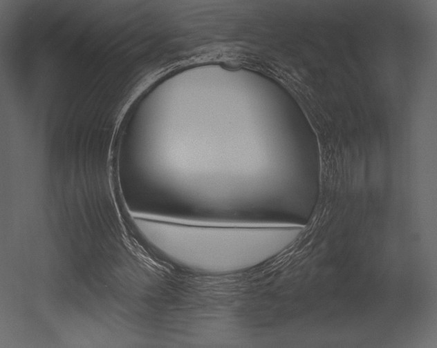 X0000053010100200507081032