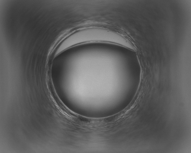 X0000053010101200507081032