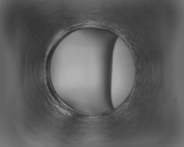 X0000053010102200507081032