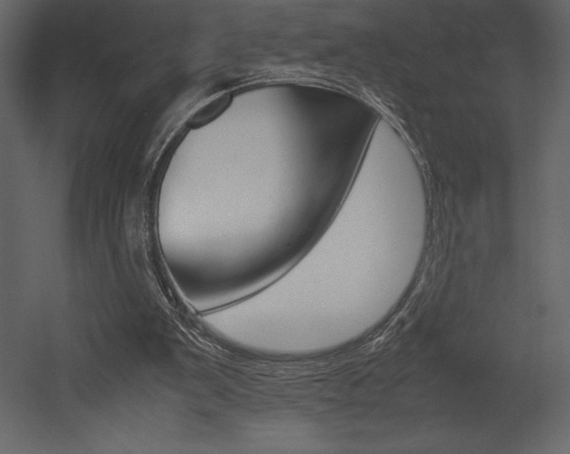 X0000053010103200507081032
