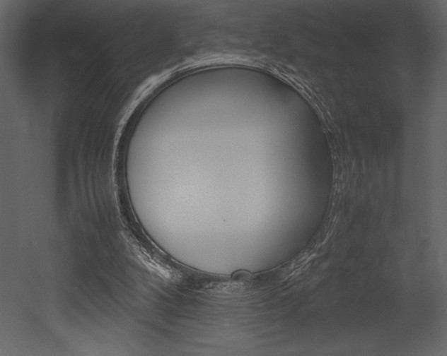 X0000053010104200507081032