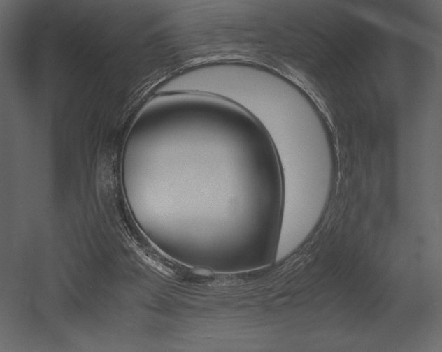 X0000053010105200507081032
