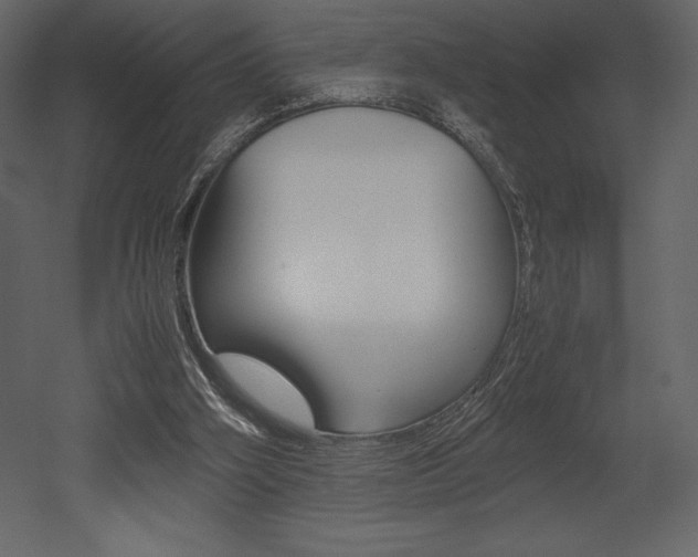 X0000053010106200507081032