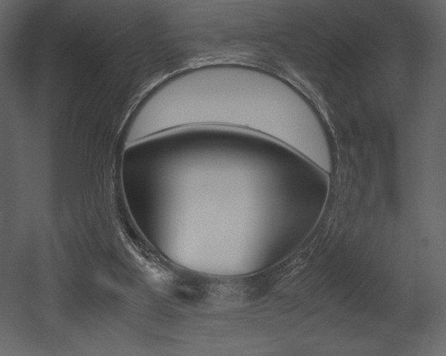 X0000053010107200507081032