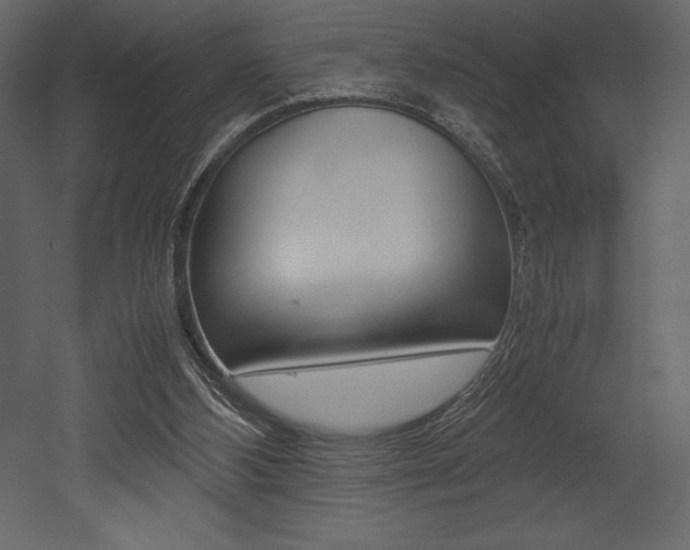 X0000053010108200507081032