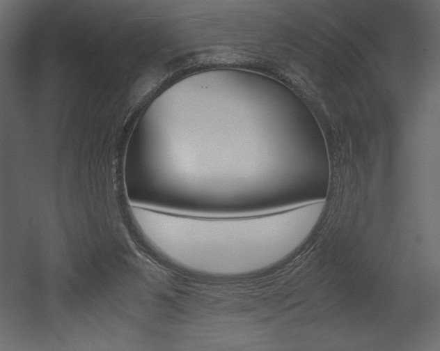 X0000053010111200507081032