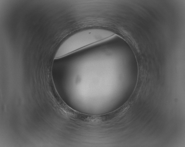 X0000053010113200507081032
