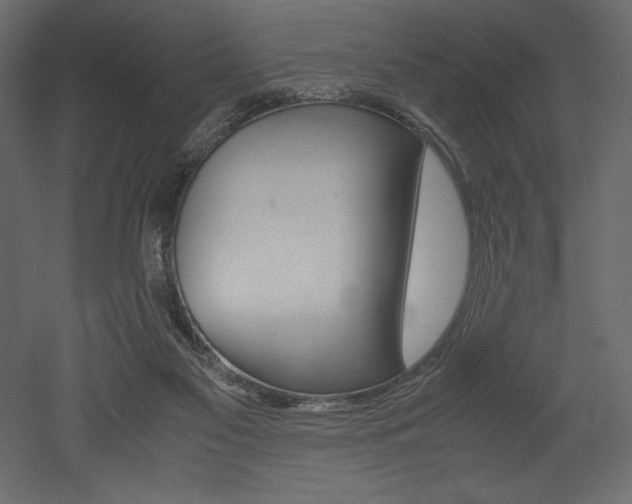 X0000053010117200507081031