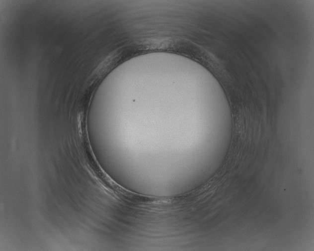 X0000053010118200507081031