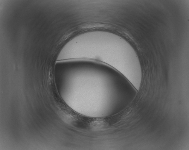 X0000053010119200507081031