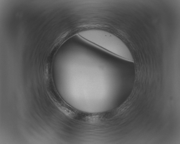 X0000053010120200507081031