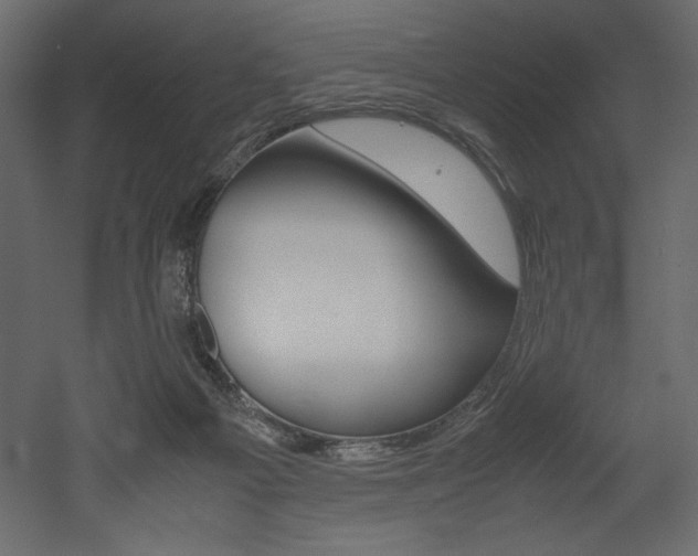 X0000053010121200507081031