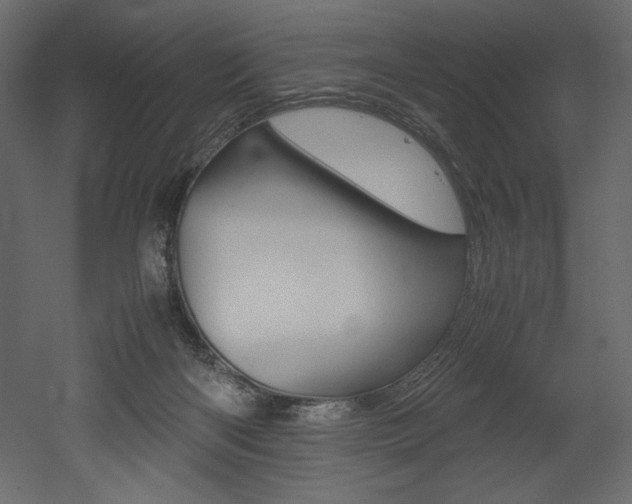 X0000053010122200507081031