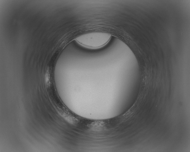 X0000053010124200507081031