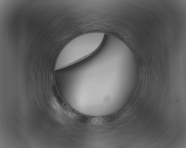 X0000053010127200507081031
