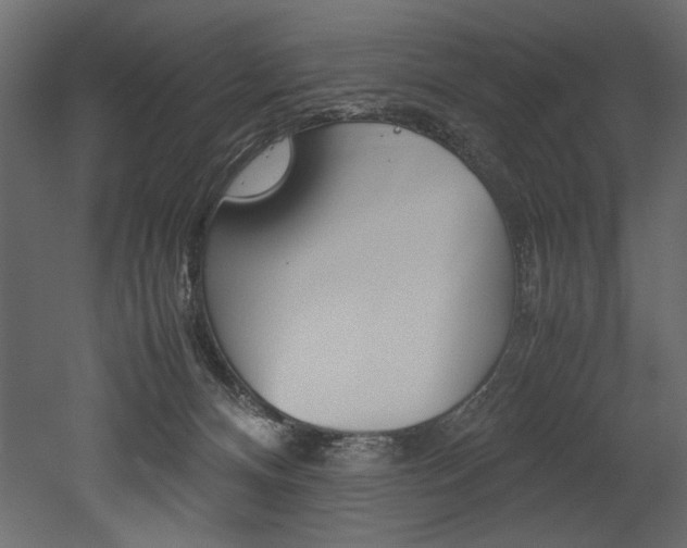X0000053010128200507081031