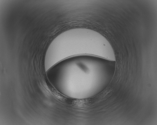 X0000053010131200507081031