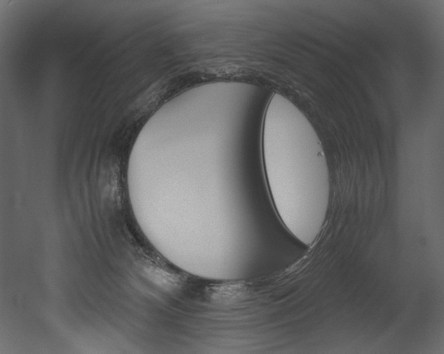 X0000053010132200507081031