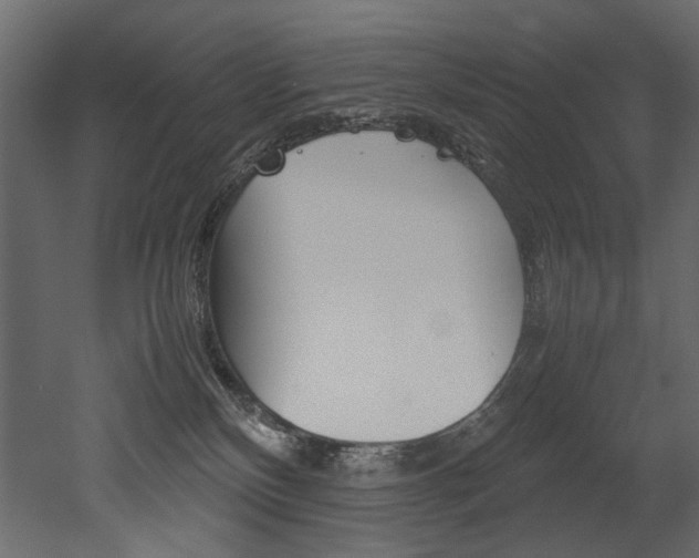 X0000053010136200507081031