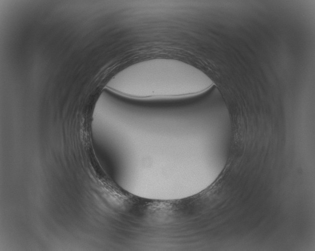 X0000053010140200507081031