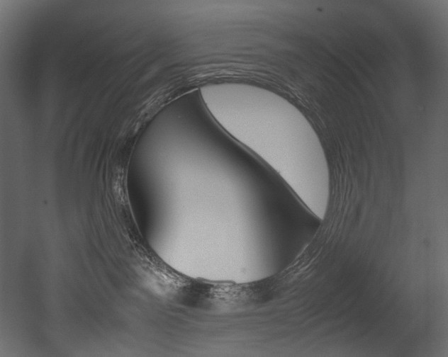 X0000053010141200507081031
