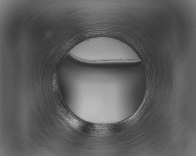 X0000053010144200507081031
