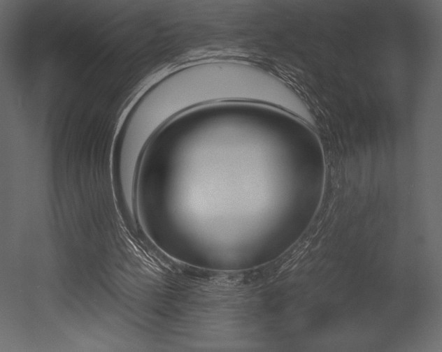 X0000053010148200507081030