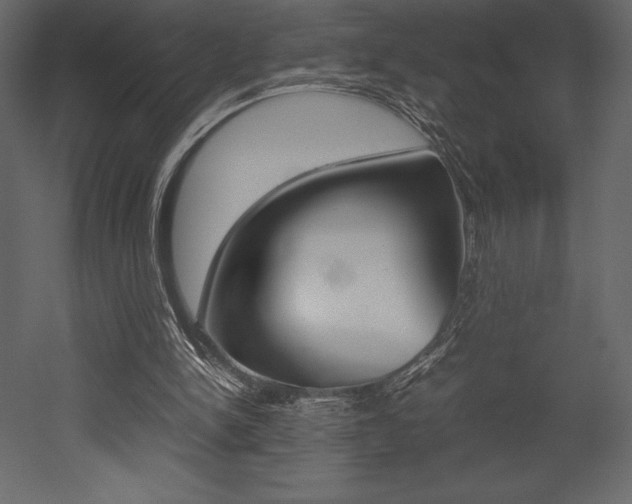 X0000053010150200507081030