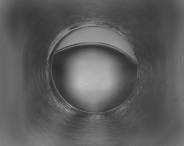X0000053010152200507081030