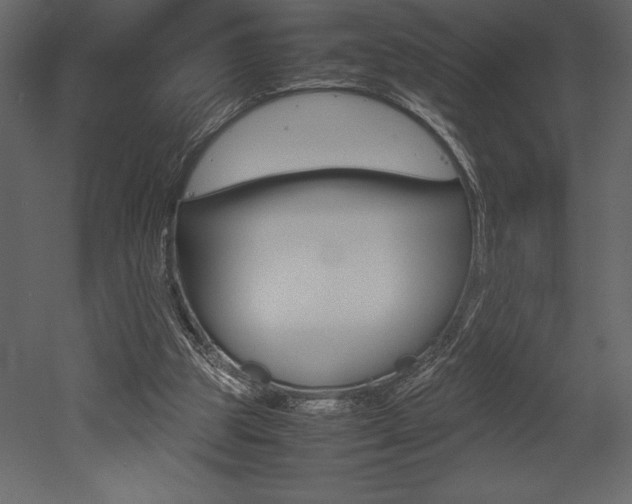 X0000053010153200507081030