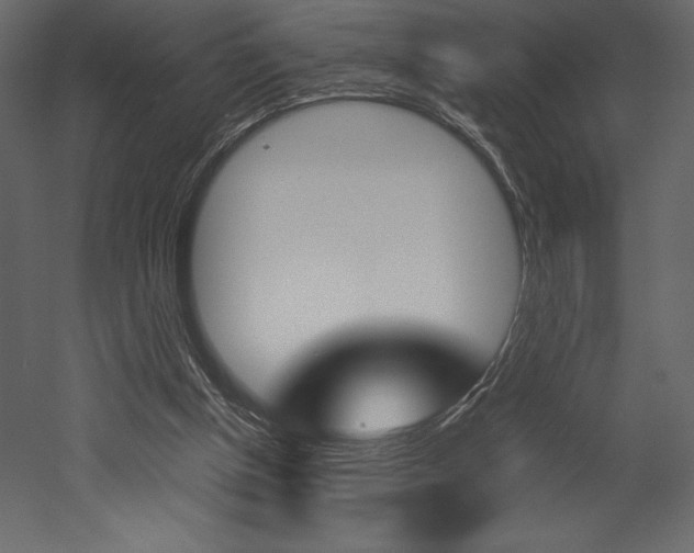 X0000053010154200507081030