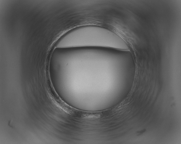 X0000053010155200507081030