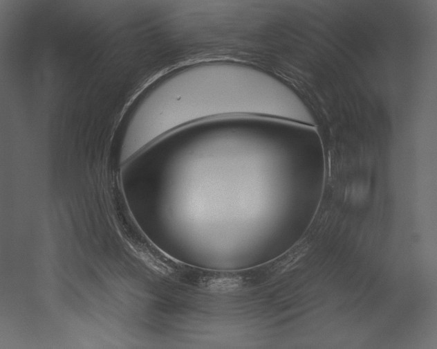X0000053010156200507081030