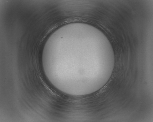 X0000053010158200507081030