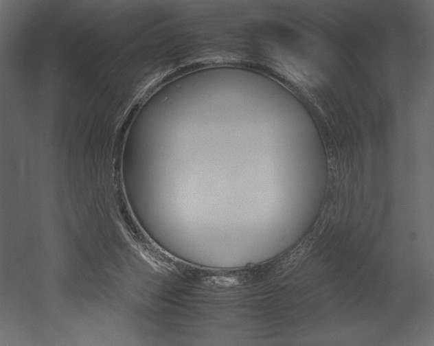 X0000053010159200507081030