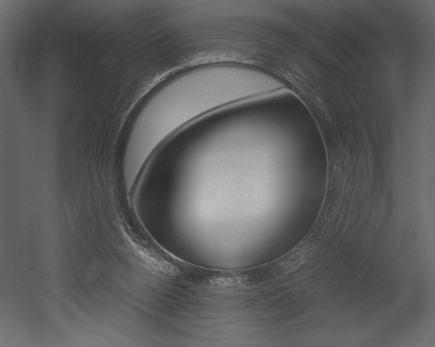 X0000053010160200507081030