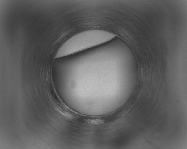 X0000053010165200507081031