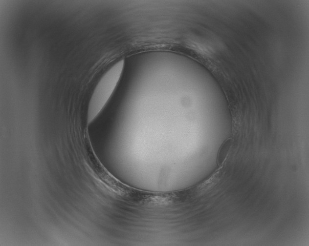 X0000053010166200507081031