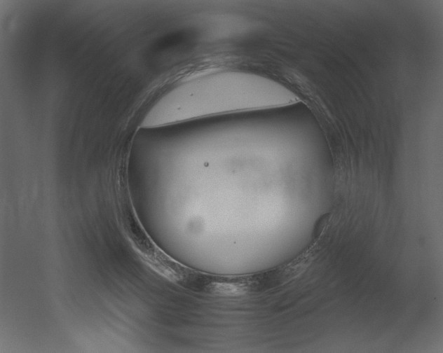 X0000053010167200507081031