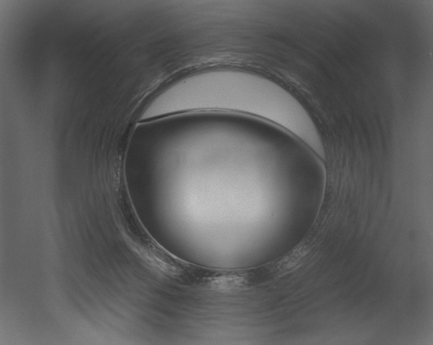 X0000053010168200507081031