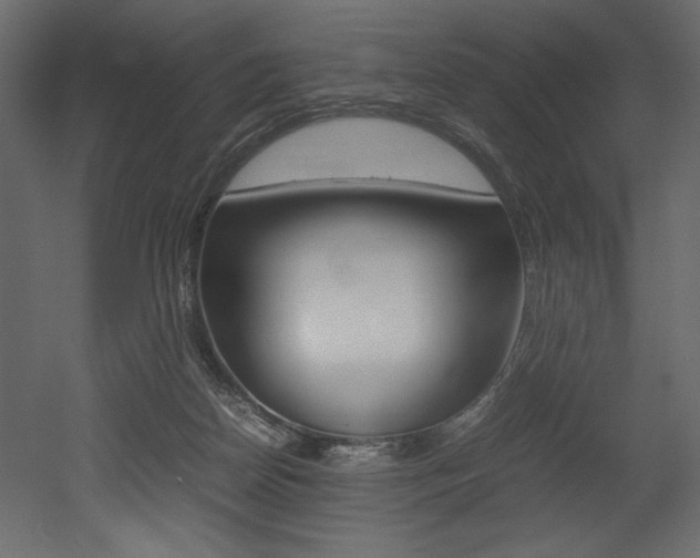 X0000053010170200507081031