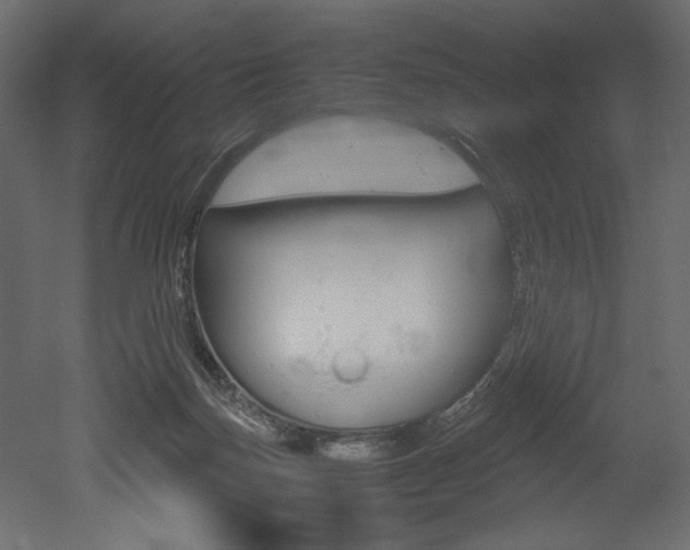 X0000053010171200507081031