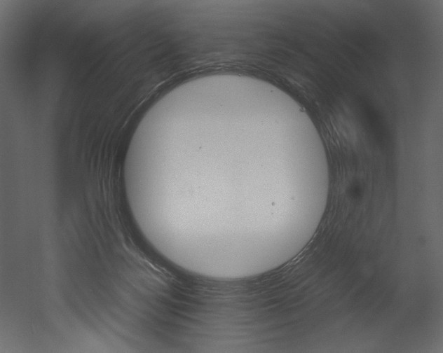 X0000053010172200507081031